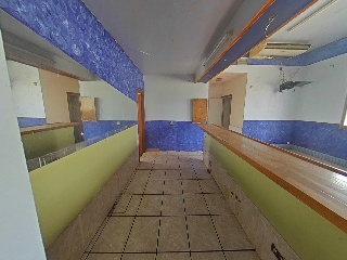 Diseminado 7