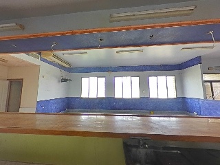 Diseminado 8