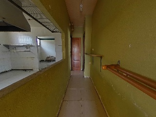 Diseminado 11