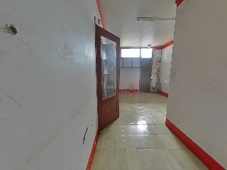Diseminado 12