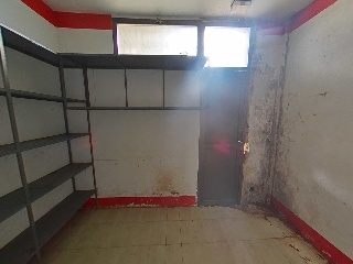 Diseminado 13