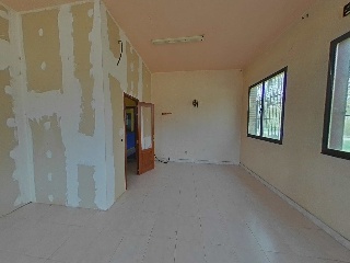Diseminado 16