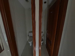 Diseminado 17