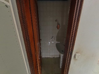 Diseminado 21