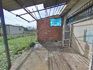 Diseminado 23