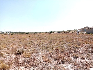 Camí De Altet 8