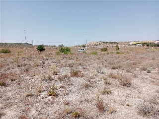 Camí De Altet 11
