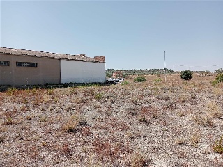 Camí De Altet 12