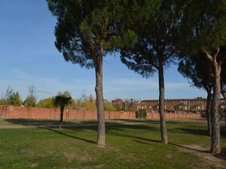 Suelo en SC Barro Azucarera 7