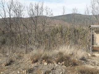 Suelo en El Royo - Soria - 7