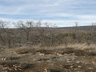 Suelo en El Royo - Soria - 8