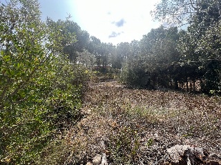 Suelo urbano en C/ Del Cardener, La Bisbal del Penedès (Tarragona) 7
