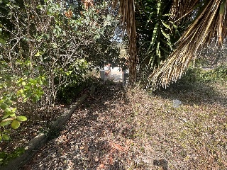 Suelo urbano en C/ Del Cardener, La Bisbal del Penedès (Tarragona) 8