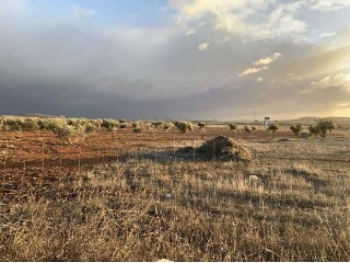 Suelo en Valdepeñas - Ciudad Real - 7