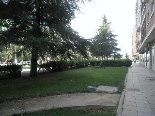 Local en C/ de Mejorada 8
