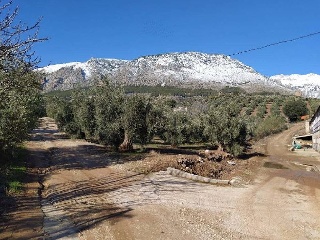 Suelo rústico en Cortijo de El Fraile - Huelma - Jaén 6