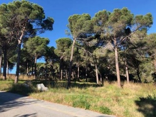 Solar en C/ S Daniel - Tordera - Barcelona 12