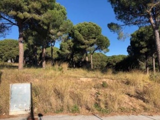 Solar en C/ S Daniel - Tordera - Barcelona 13