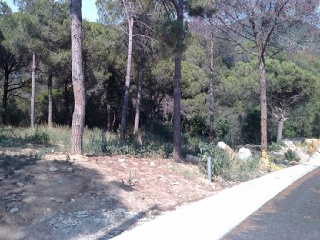 Solar en C/ S Daniel - Tordera - Barcelona 17