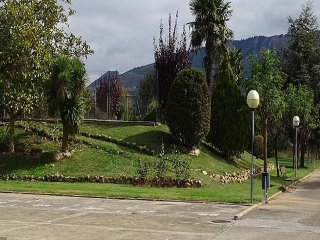 Conejeras 6