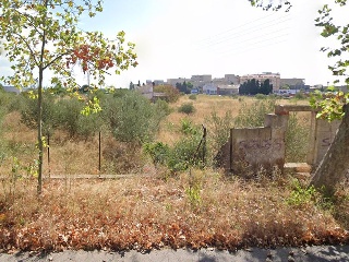 Otros en venta en Castellón De La Plana/castelló De La Plana
