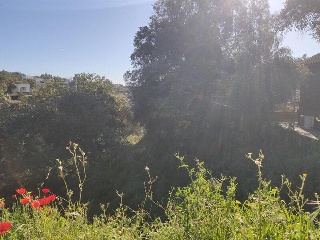 ROMA 14