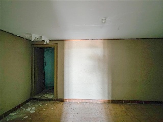 Olmillo 3