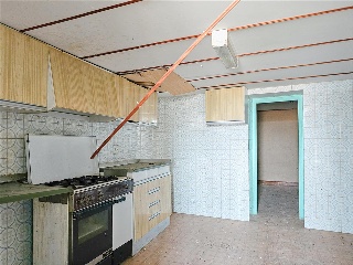 Olmillo 5