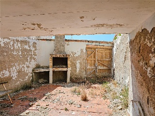 Olmillo 15