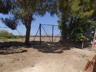 EL TEJAR 3