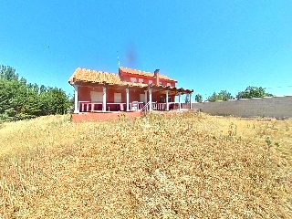 Abedul 28
