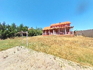 Abedul 29