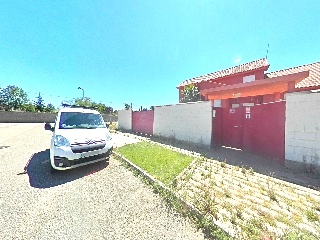Abedul 31