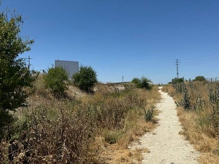 F4 EL MAJUELO NORTE 2