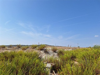 F4 EL MAJUELO NORTE 3