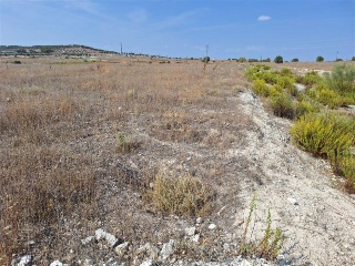 F4 EL MAJUELO NORTE 4