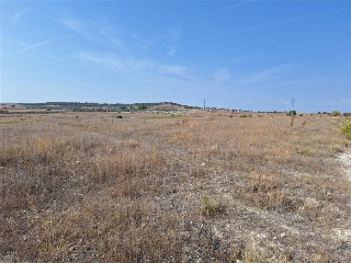 F4 EL MAJUELO NORTE 6