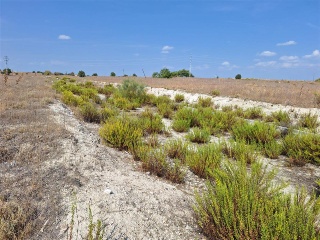 F4 EL MAJUELO NORTE 7
