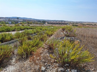 F4 EL MAJUELO NORTE 8