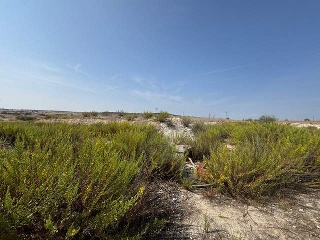 F4 EL MAJUELO NORTE 9