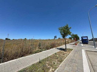 F4 EL MAJUELO NORTE 10