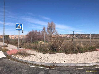 BARTOLO 2