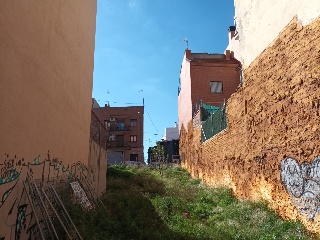 AZUCENAS 3