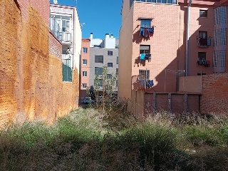 AZUCENAS 4
