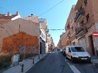 AZUCENAS 6