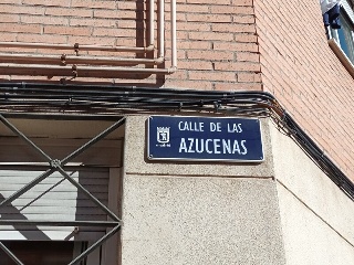 AZUCENAS 7