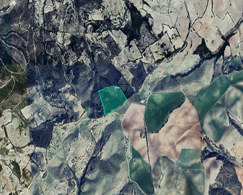 Suelo rústico en Paraje Cañada del Cerrajero las Viñas