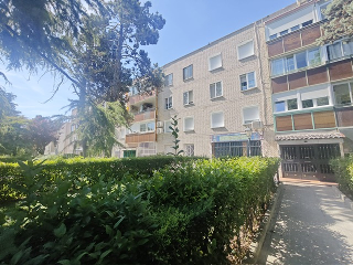 Rio Manzanares 3
