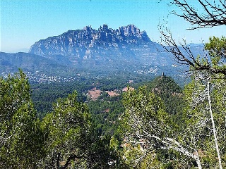 Segarra 8