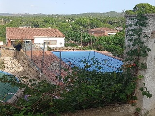 Marti 4
